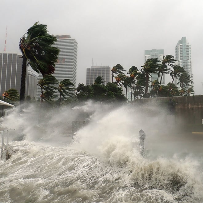 Stormy coastal cityscape with palm trees bending in high winds, symbolizing the need for resilient infrastructure and disaster recovery planning.